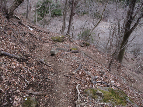 20160204hike (345)